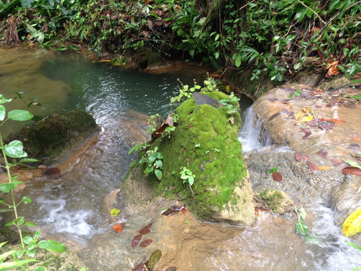 巴恩萨恩托尼丁住宿加早餐旅馆 沙敦 外观 照片